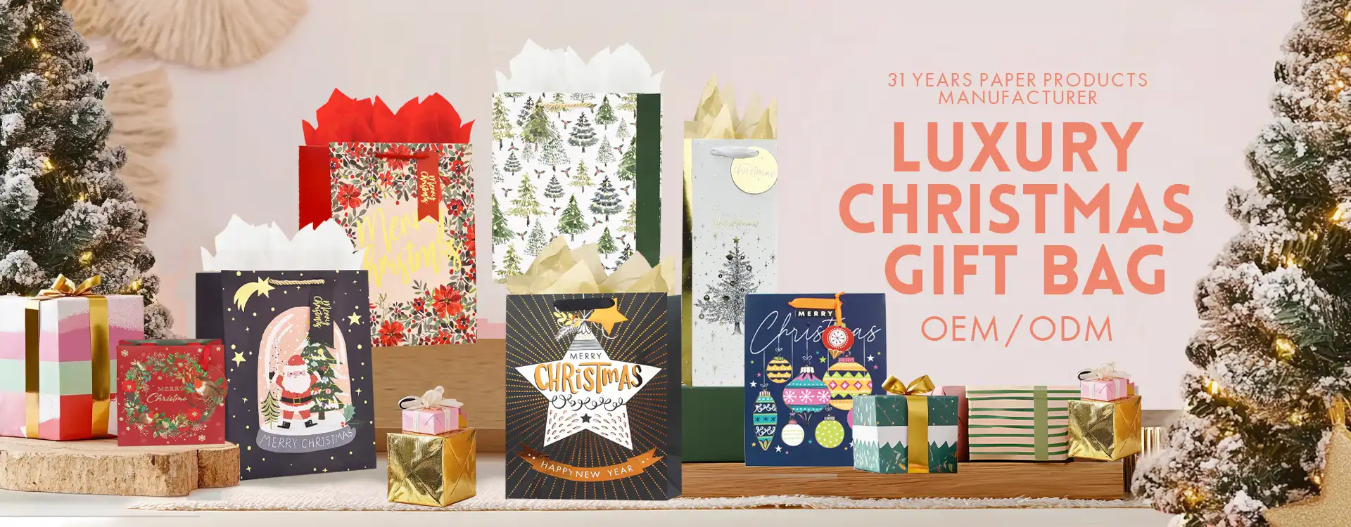 Durable and stylish consumer paper bags from Fanhong are available in bulk for wholesale buyers