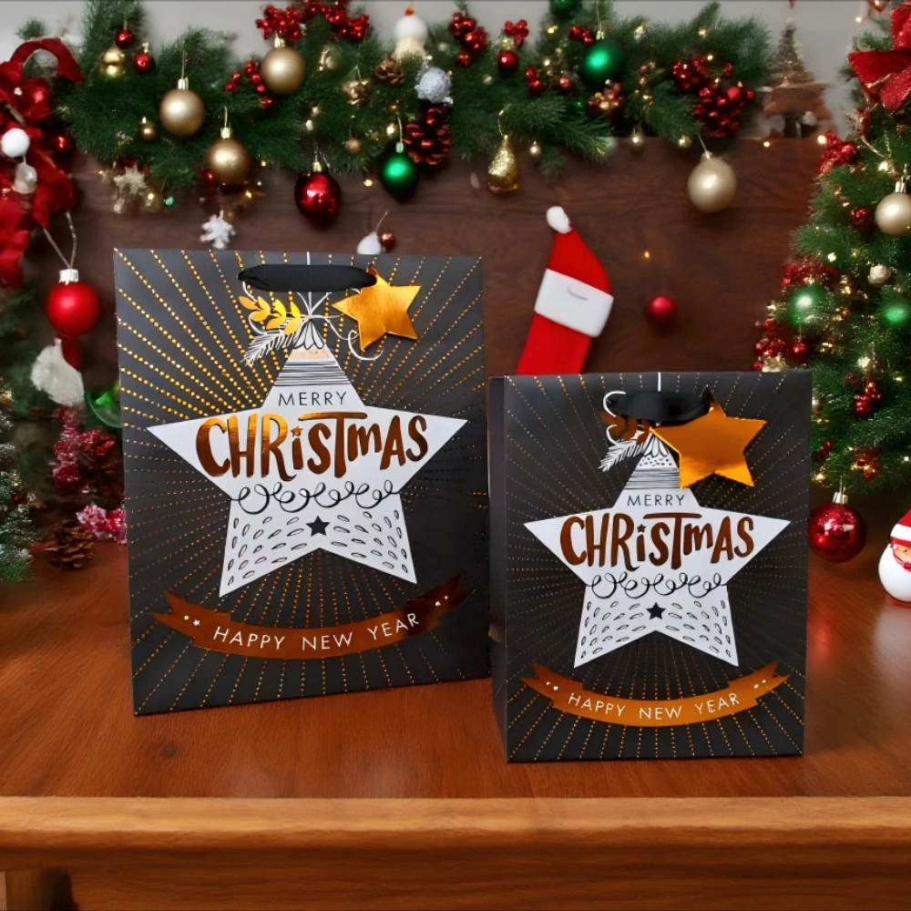 FH-B0004 Cross-Border Customization & Wholesale Christmas Element Elegant Christmas Star Accessory Gift Bag (5)